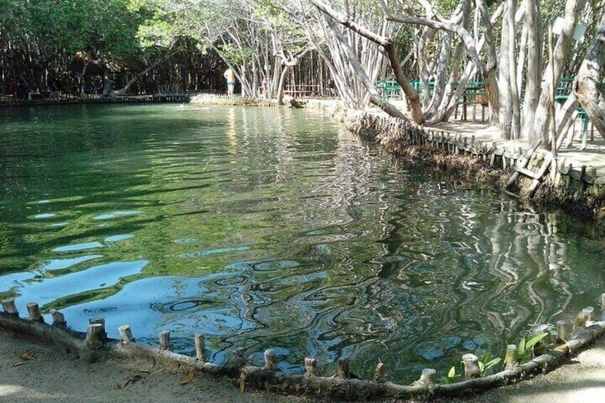 Tour to progreso, corchito and salt ponds