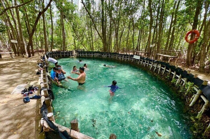 Tour to progreso, corchito and salt ponds