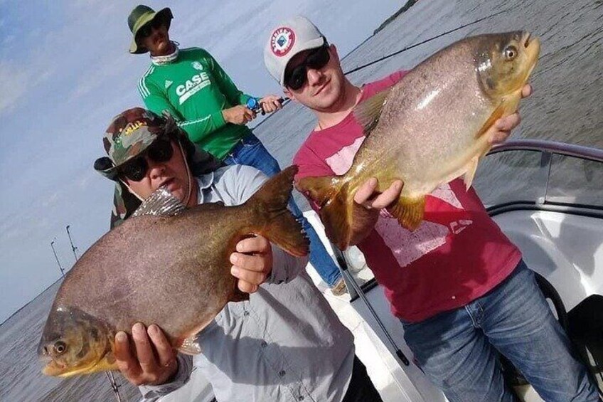 Full-Day Fishing Experience With Barbecue In Santos – Pick-up In Santos