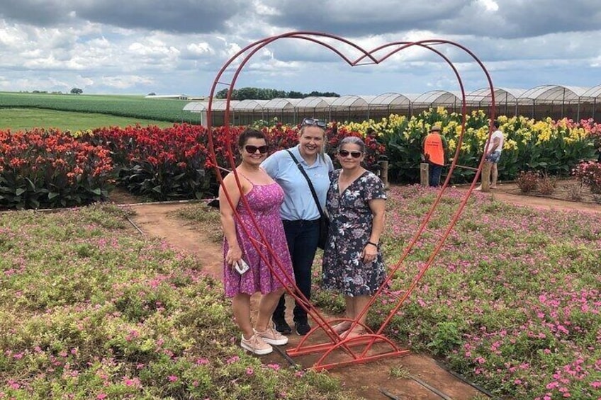 Holambra: Flowers & Windmill, The Little Piece Of Netherlands in Brazil