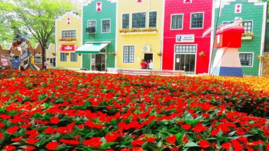Holambra: Flowers & Windmill, The Little Piece Of Netherlands in Brazil