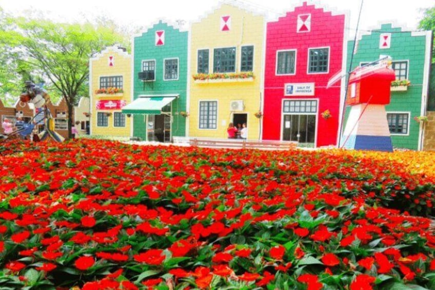 Holambra: Flowers & Windmill, The Little Piece Of Netherlands in Brazil