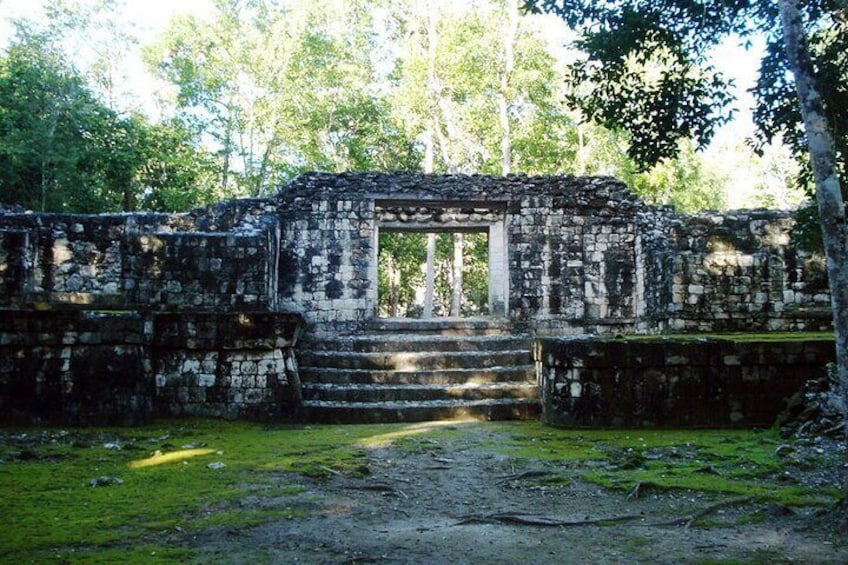 Tour to Calakmul and Balamkú. From Campeche