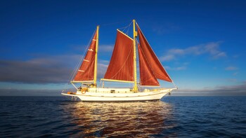Afternoon Sail Through the City with Tea & Coffee