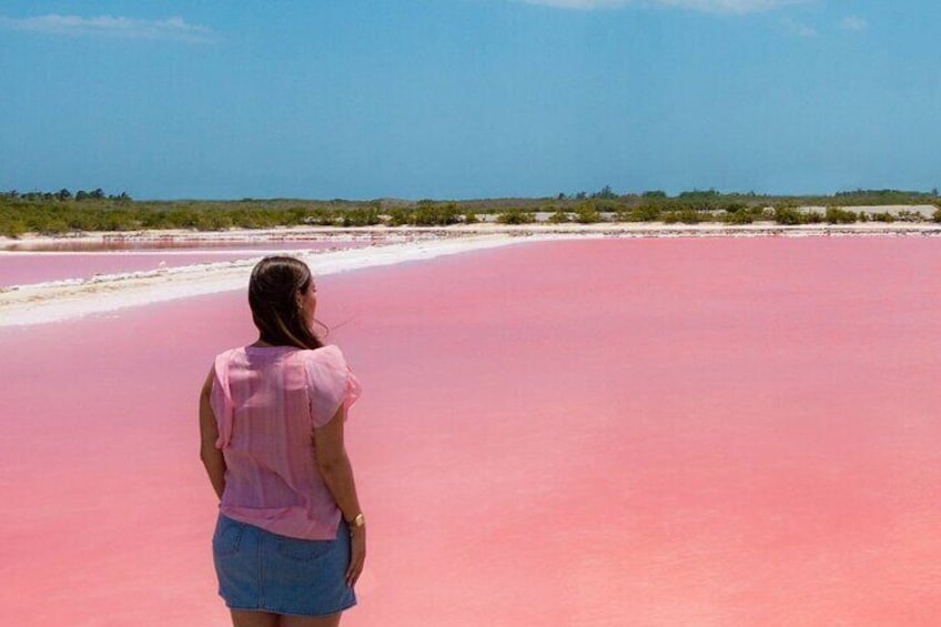 Isla Arena tour with flamingos from Campeche