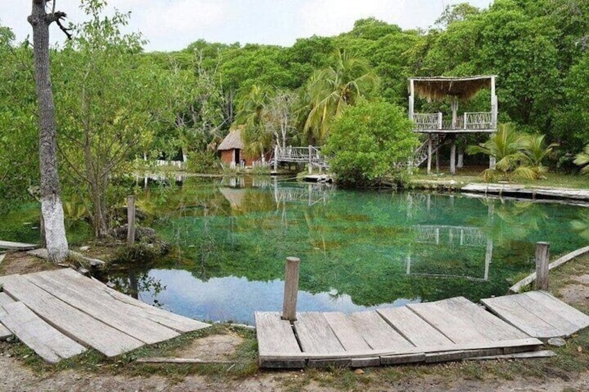 Isla Arena tour with flamingos from Campeche