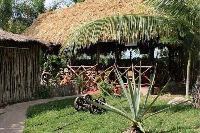 Ancestral Mayan Private Culinary Experience in Merida