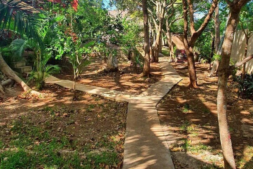 Ancestral Mayan Private Culinary Experience in Merida