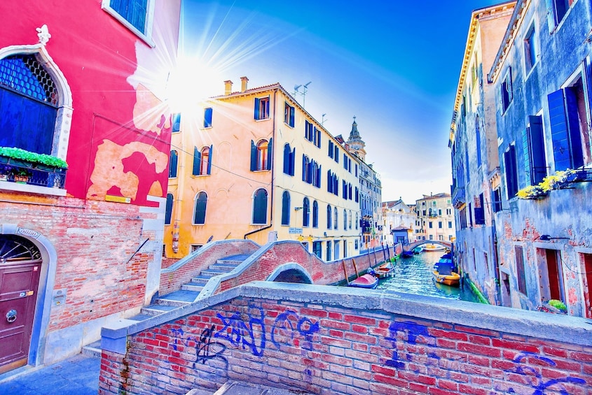 Absolute Venice: 4-Hour Guided City Highlights Tour