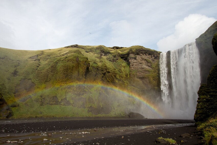 Glacier Hiking & South Coast Waterfalls Full-Day Tour