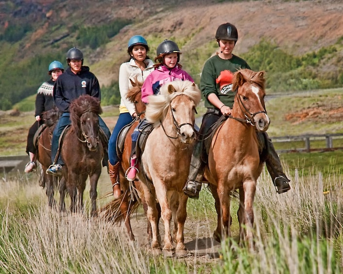 Full-Day Icelandic Horse Riding & Golden Circle Tour with Lunch