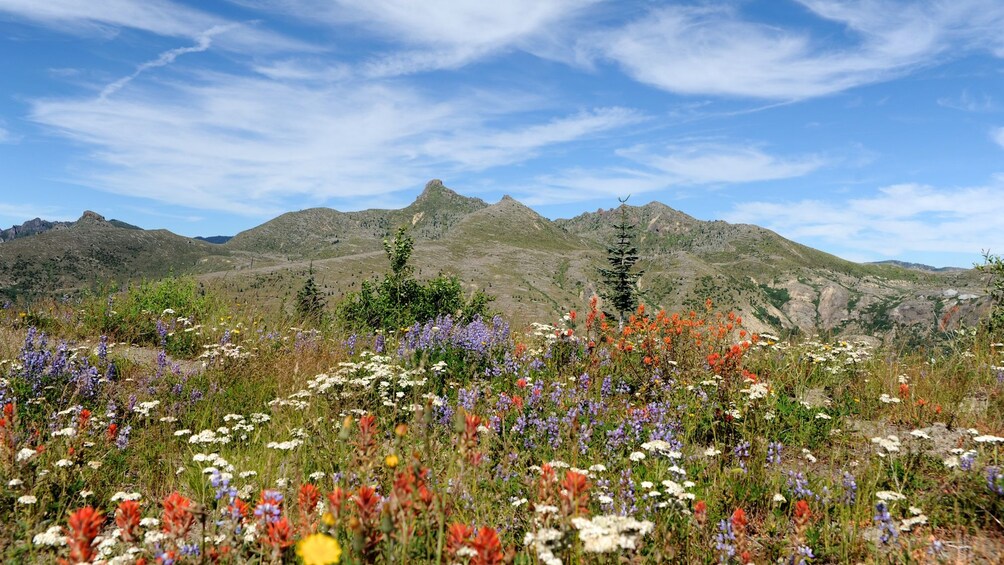 Mount Saint Helens