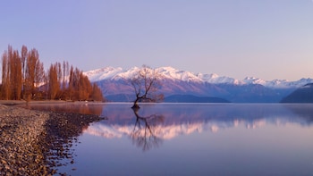 Full-Day Small Group Tour to Historic Arrowtown & Wanaka