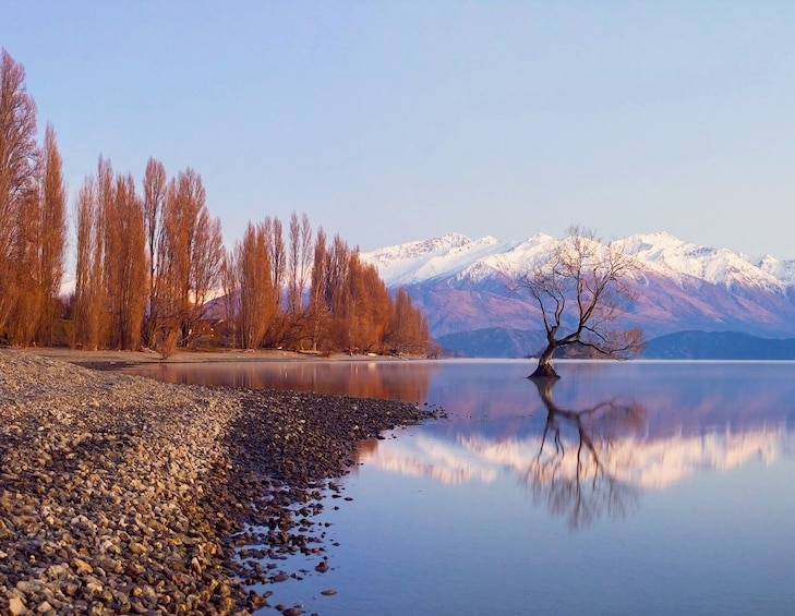 Arrowtown & Wanaka Small Group Tour