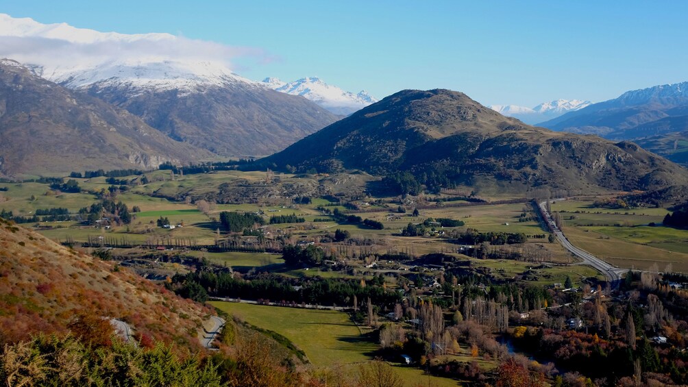 New Zealand countryside