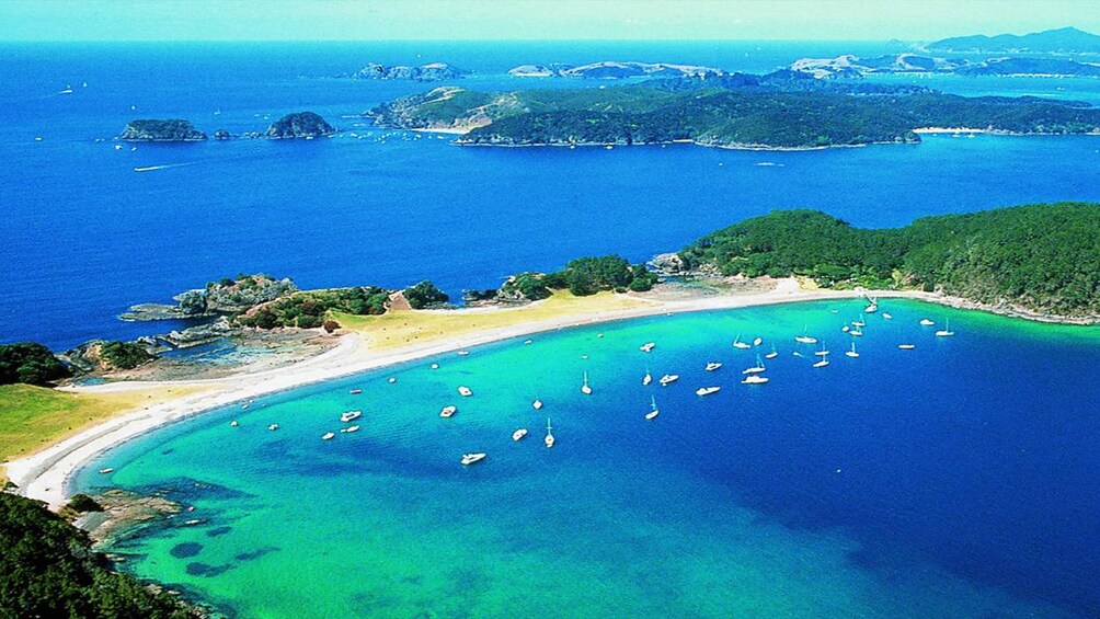 Show item 5 of 5. Coastline of New Zealand