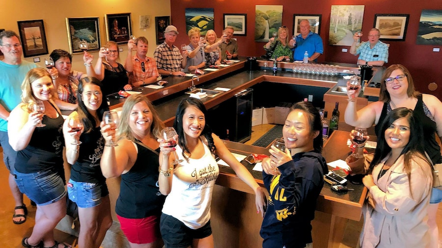VIP Wine Tasting and Dinner Tour