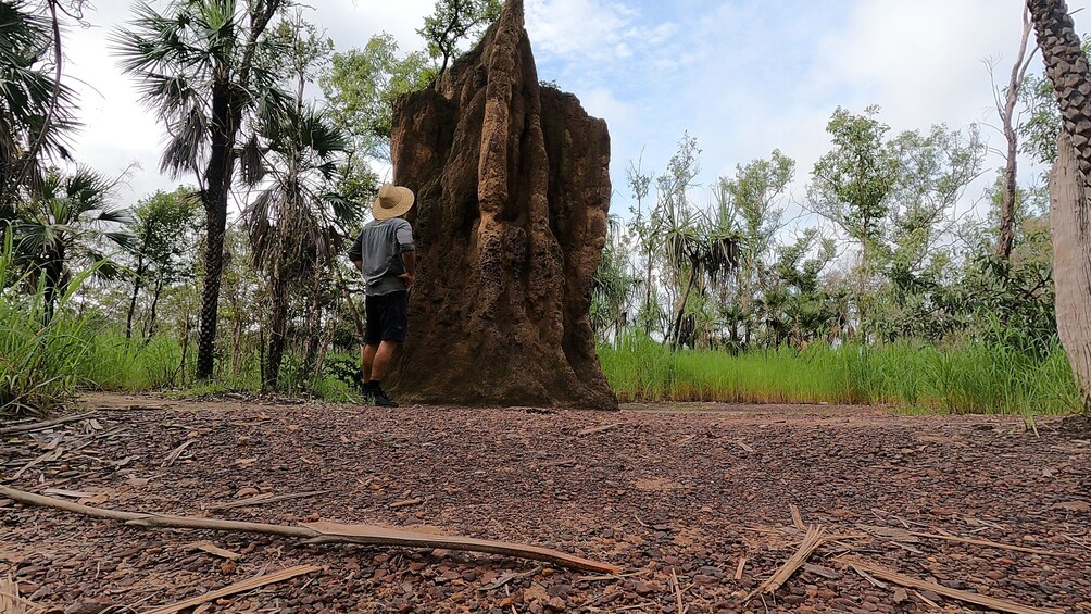 Litchfields Wanderer - Top End Discovery Tour