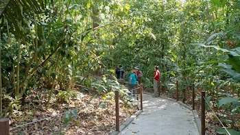 Carara National Park