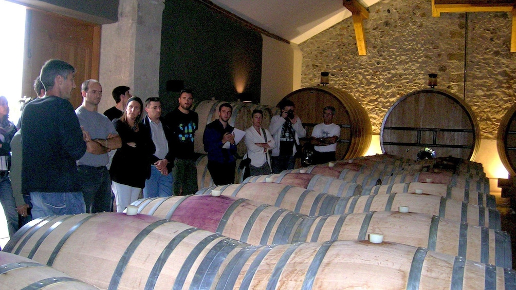 Charger l’élément 3 sur 4. Tourists at a winery looking at wine barrels in Montpellier