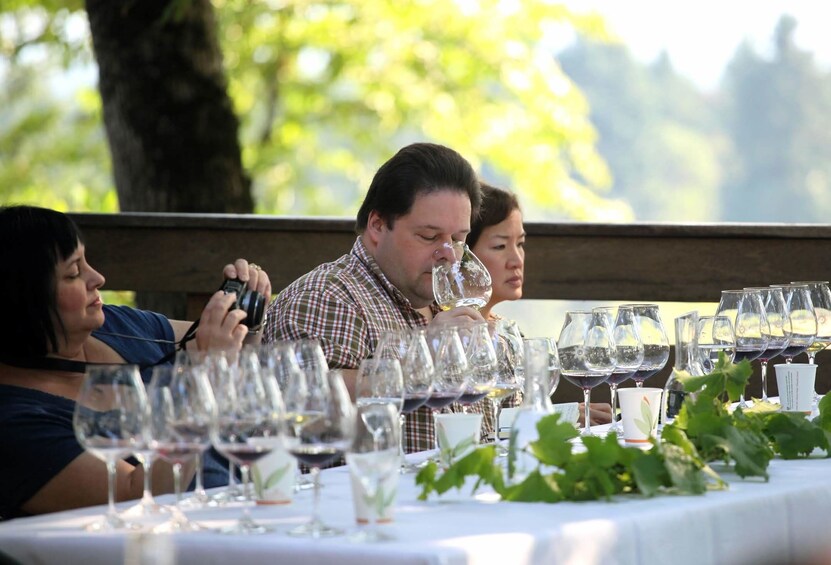 Willamette Valley Wine & Waterfalls Day Tour from Portland
