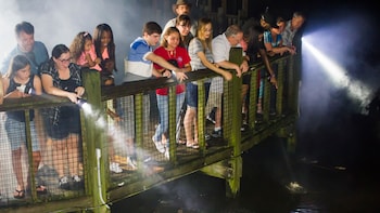 Night Shine Adventure at Gatorland
