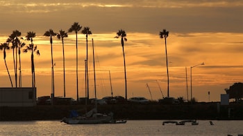 Sunset Cruise in Mission Bay