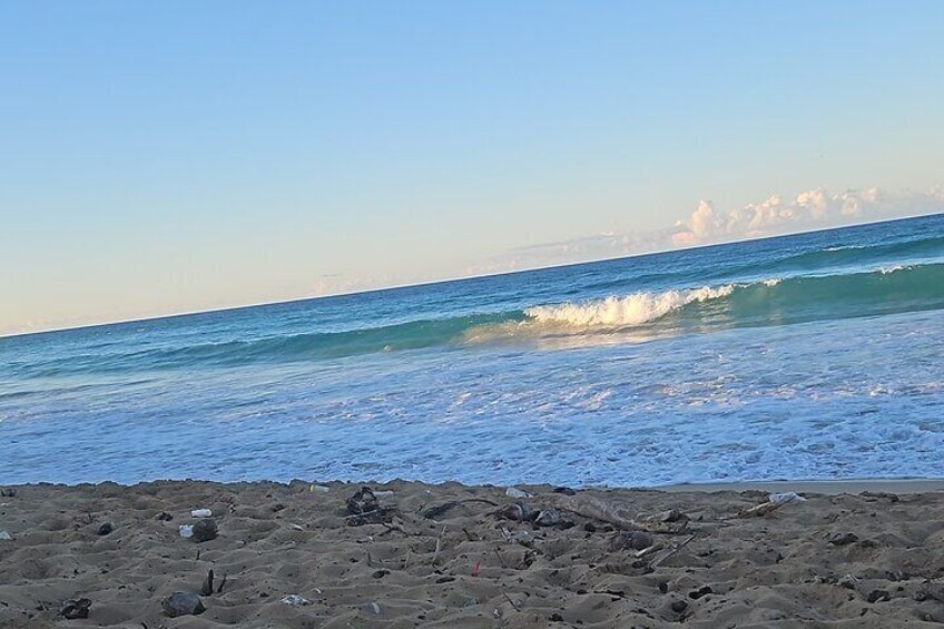  Punta Cana Beach Sunset Horseback Riding Activity 