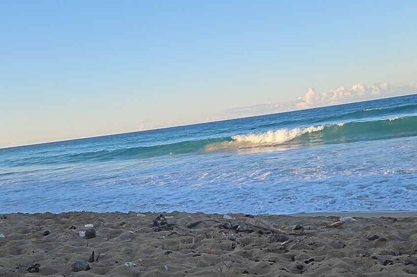 Punta Cana Beach Sunset Horseback Riding Activity