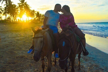 Sunset Horseback Riding at the Beach in Punta Cana(private option