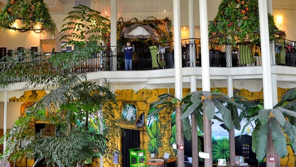 Butterfly Palace in Branson