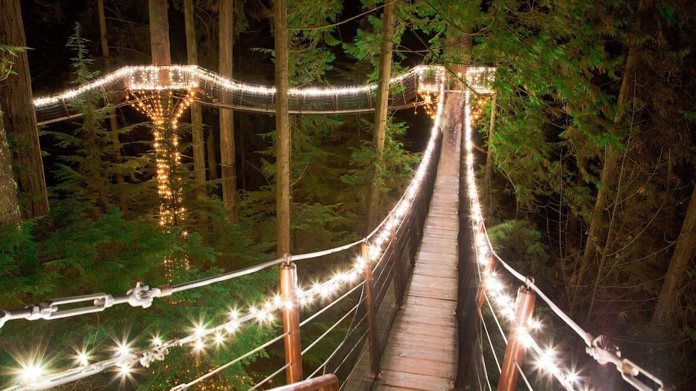 Elevated walkway through the trees lit up with holiday lights at night in Vancouver