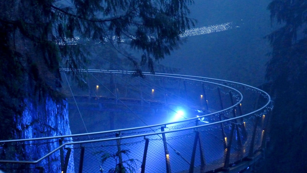 Skywalk through the trees at night in Vancouver