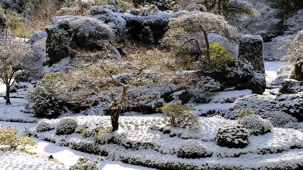 Snow-covered Butchart garden
