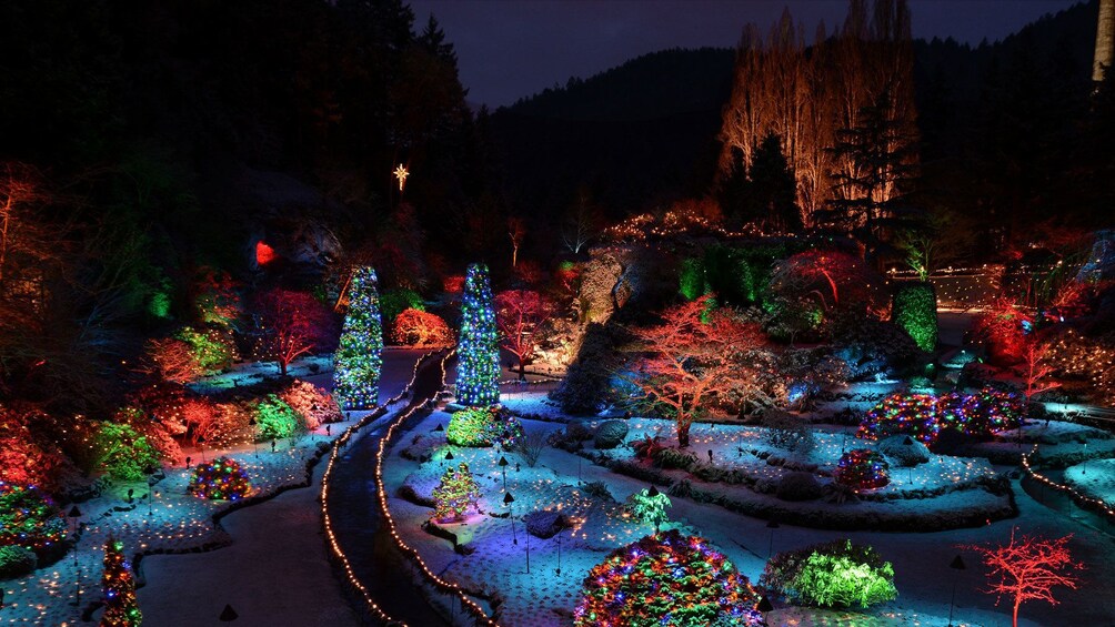 Butchart Gardens lit up with holiday lights at night in Victoria