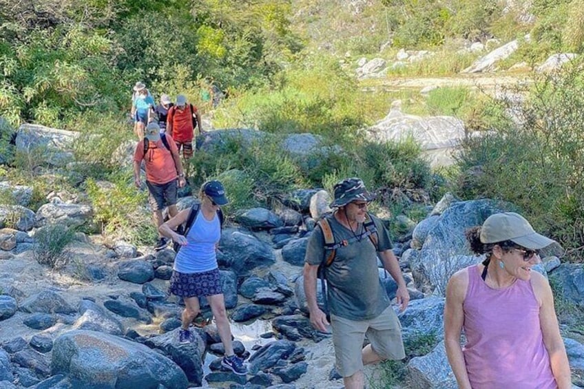 Sierra de la Laguna Hiking and Natural Springs Swim with Waterfalls