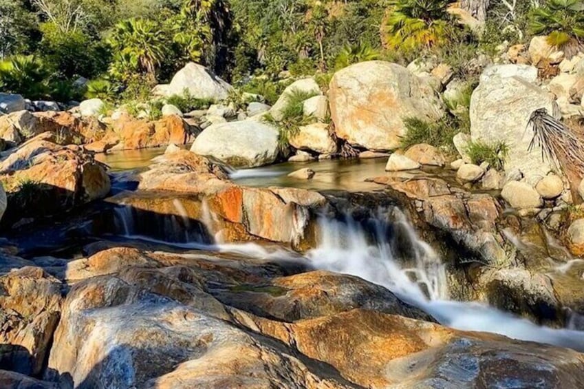 Sierra de la Laguna Hiking and Natural Springs Swim with Waterfalls
