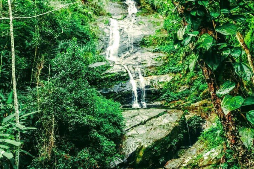 Adventure & History at Tijuca Forest (small group or private)