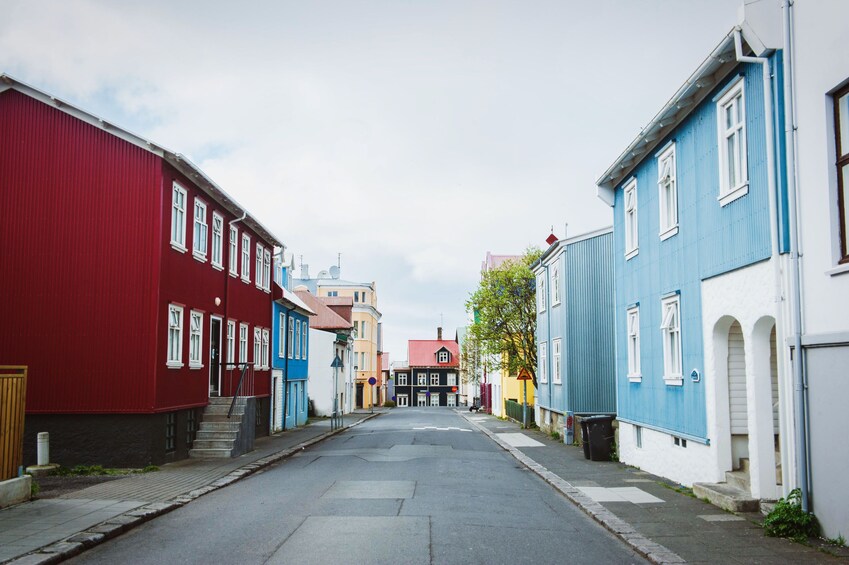 Guided City Walking Tour 