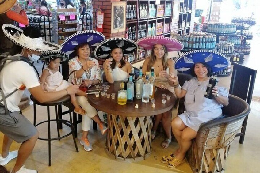 Cancun City Sightseeing Tour 