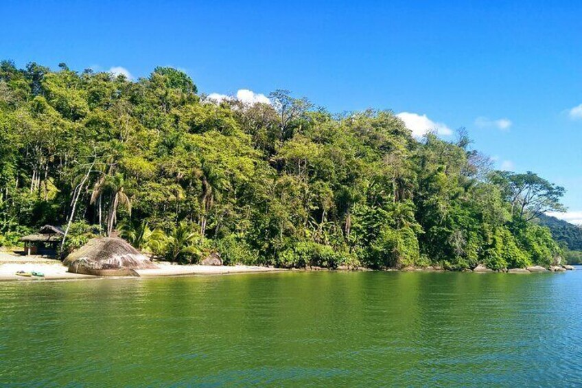 Kayaking Mangroves tour