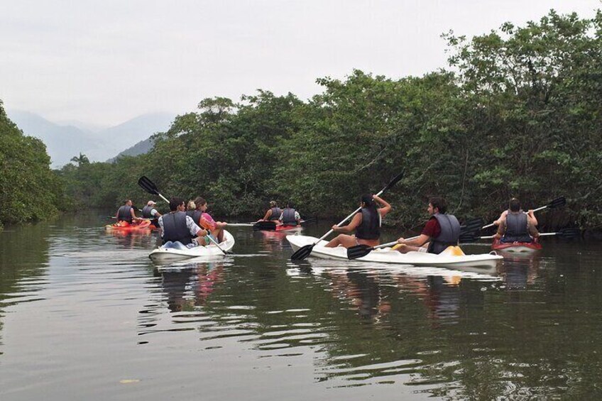 Kayaking Mangroves tour