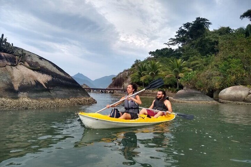 Kayaking Mangroves tour
