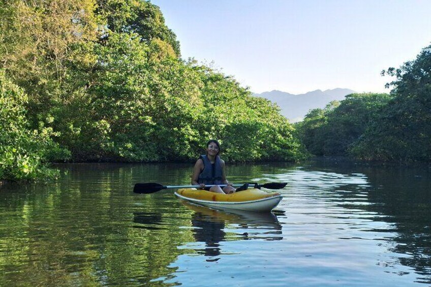 Kayaking Mangroves tour