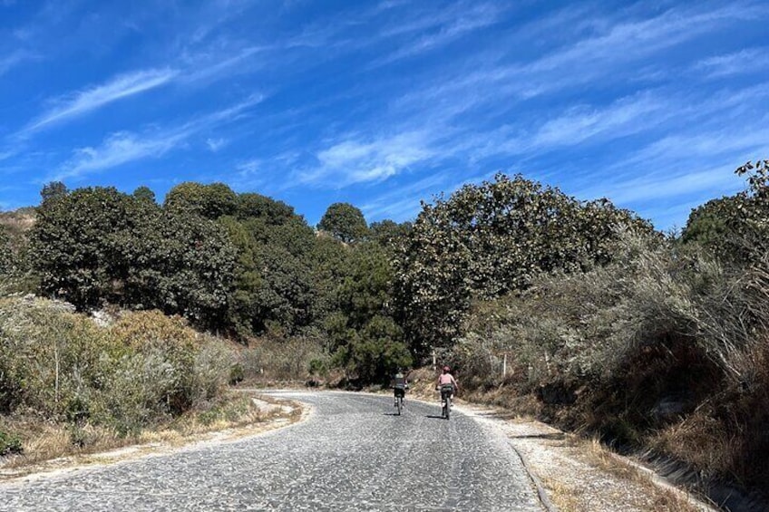 Half Day enduro bike Tour to La Primavera Forest.
