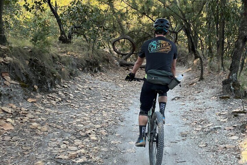 Half Day enduro bike Tour to La Primavera Forest.