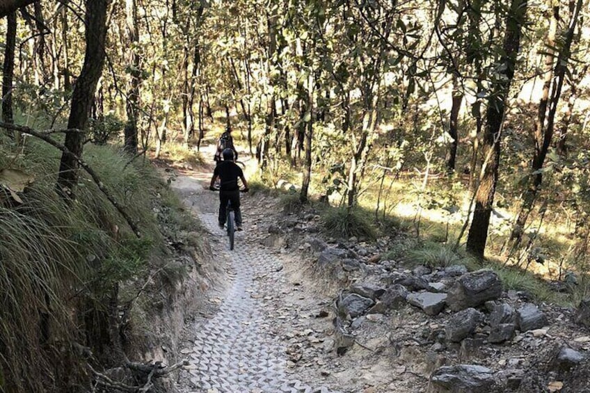 Half Day enduro bike Tour to La Primavera Forest.