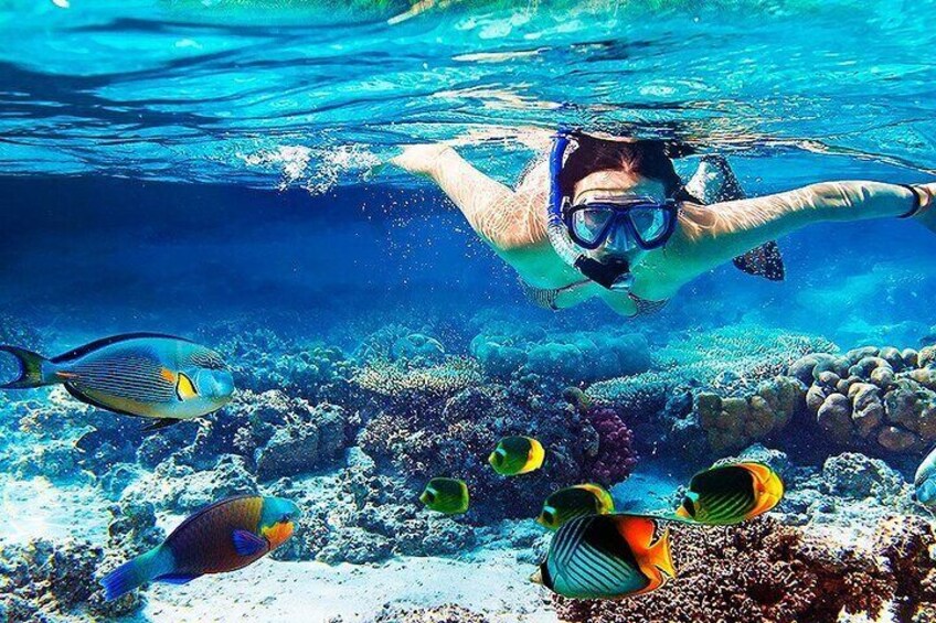25 - Full Day Tour to Angra dos Reis and Ilha Grande