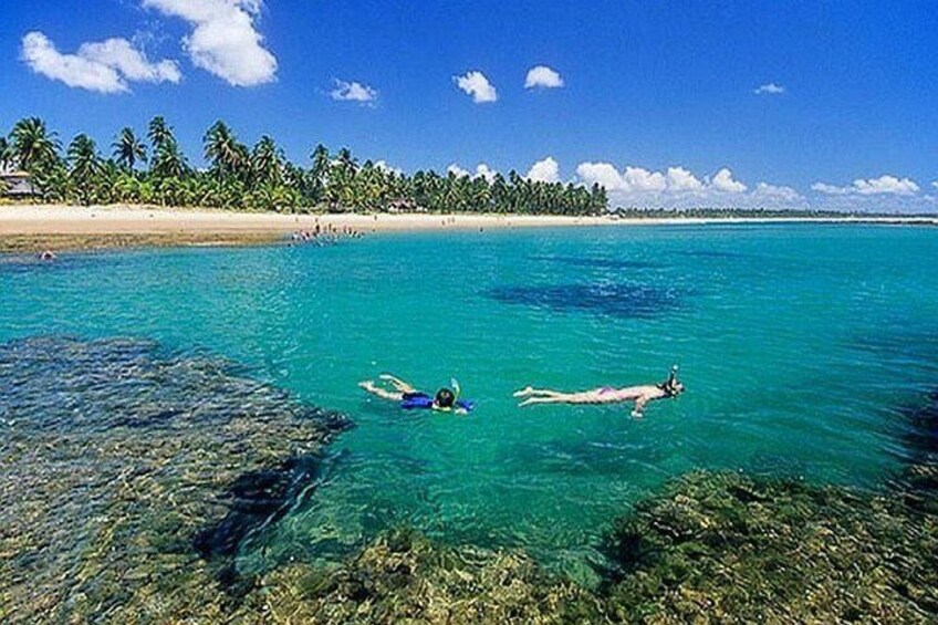 Enjoy Snorkeling Dive