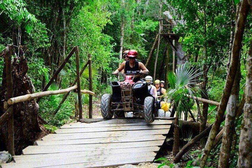 Bridge in the Mayan jungle